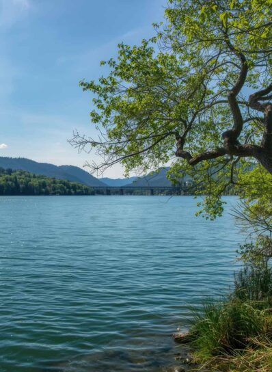 lakeview